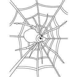 ぬりえページ: クモ (動物) #648 - 無料の印刷可能なぬりえページ