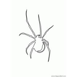 ぬりえページ: クモ (動物) #649 - 無料の印刷可能なぬりえページ