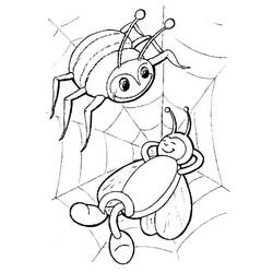 ぬりえページ: クモ (動物) #654 - 無料の印刷可能なぬりえページ