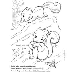 ぬりえページ: リス (動物) #6191 - 無料の印刷可能なぬりえページ