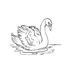 ぬりえページ: 白鳥 (動物) #4992 - 無料の印刷可能なぬりえページ
