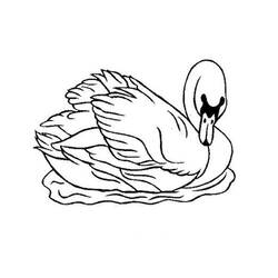 ぬりえページ: 白鳥 (動物) #4993 - 無料の印刷可能なぬりえページ