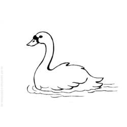 ぬりえページ: 白鳥 (動物) #4995 - 無料の印刷可能なぬりえページ