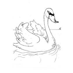 ぬりえページ: 白鳥 (動物) #5000 - 無料の印刷可能なぬりえページ