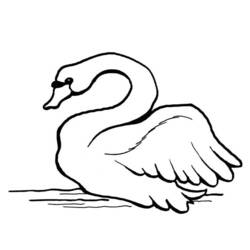 ぬりえページ: 白鳥 (動物) #5002 - 無料の印刷可能なぬりえページ