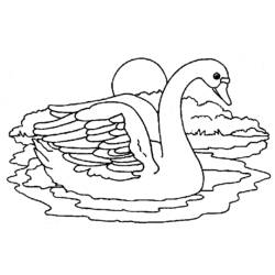 ぬりえページ: 白鳥 (動物) #5014 - 無料の印刷可能なぬりえページ