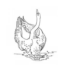 ぬりえページ: 白鳥 (動物) #5015 - 無料の印刷可能なぬりえページ
