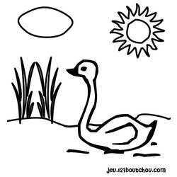 ぬりえページ: 白鳥 (動物) #5042 - 無料の印刷可能なぬりえページ