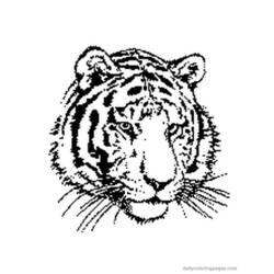 ぬりえページ: 虎 (動物) #13592 - 無料の印刷可能なぬりえページ