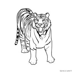 ぬりえページ: 虎 (動物) #13595 - 無料の印刷可能なぬりえページ