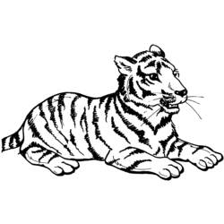 ぬりえページ: 虎 (動物) #13597 - 無料の印刷可能なぬりえページ