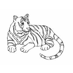 ぬりえ: 虎 - 無料の印刷可能なぬりえページ
