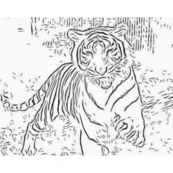 ぬりえページ: 虎 (動物) #13606 - 無料の印刷可能なぬりえページ