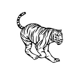 ぬりえページ: 虎 (動物) #13611 - 無料の印刷可能なぬりえページ