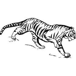 ぬりえページ: 虎 (動物) #13613 - 無料の印刷可能なぬりえページ