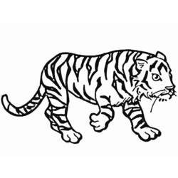 ぬりえページ: 虎 (動物) #13629 - 無料の印刷可能なぬりえページ