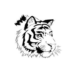 ぬりえページ: 虎 (動物) #13631 - 無料の印刷可能なぬりえページ
