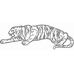 ぬりえページ: 虎 (動物) #13637 - 無料の印刷可能なぬりえページ