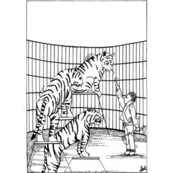ぬりえページ: 虎 (動物) #13646 - 無料の印刷可能なぬりえページ