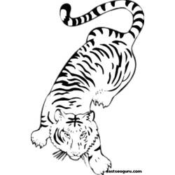 ぬりえページ: 虎 (動物) #13663 - 無料の印刷可能なぬりえページ