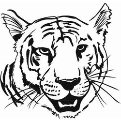 ぬりえページ: 虎 (動物) #13666 - 無料の印刷可能なぬりえページ