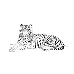 ぬりえページ: 虎 (動物) #13676 - 無料の印刷可能なぬりえページ