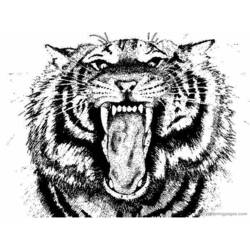 ぬりえページ: 虎 (動物) #13679 - 無料の印刷可能なぬりえページ