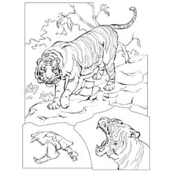 ぬりえページ: 虎 (動物) #13683 - 無料の印刷可能なぬりえページ
