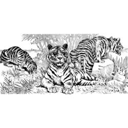 ぬりえページ: 虎 (動物) #13691 - 無料の印刷可能なぬりえページ