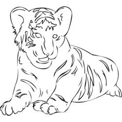 ぬりえページ: 虎 (動物) #13701 - 無料の印刷可能なぬりえページ
