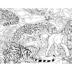 ぬりえページ: 虎 (動物) #13711 - 無料の印刷可能なぬりえページ