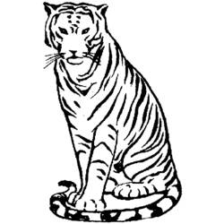 ぬりえページ: 虎 (動物) #13736 - 無料の印刷可能なぬりえページ