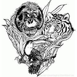 ぬりえページ: 虎 (動物) #13756 - 無料の印刷可能なぬりえページ