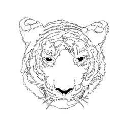 ぬりえページ: 虎 (動物) #13771 - 無料の印刷可能なぬりえページ