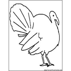 ぬりえページ: 七面鳥 (動物) #5465 - 無料の印刷可能なぬりえページ