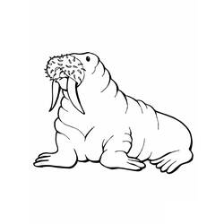 ぬりえページ: セイウチ (動物) #16473 - 無料の印刷可能なぬりえページ