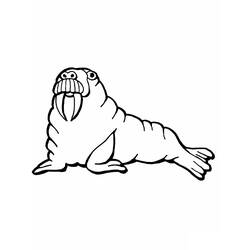 ぬりえページ: セイウチ (動物) #16530 - 無料の印刷可能なぬりえページ