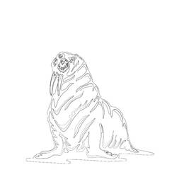 ぬりえページ: セイウチ (動物) #16574 - 無料の印刷可能なぬりえページ