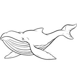 ぬりえページ: 鯨 (動物) #865 - 無料の印刷可能なぬりえページ