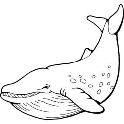 ぬりえページ: 鯨 (動物) #866 - 無料の印刷可能なぬりえページ