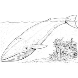 ぬりえページ: 鯨 (動物) #895 - 無料の印刷可能なぬりえページ