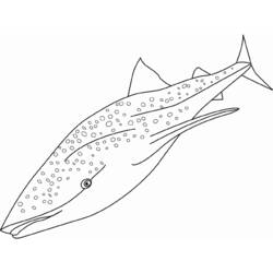 ぬりえページ: 鯨 (動物) #899 - 無料の印刷可能なぬりえページ