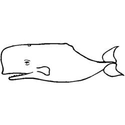 ぬりえページ: 鯨 (動物) #903 - 無料の印刷可能なぬりえページ