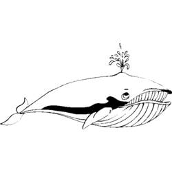 ぬりえページ: 鯨 (動物) #904 - 無料の印刷可能なぬりえページ