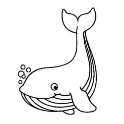ぬりえ: 鯨 - 無料の印刷可能なぬりえページ