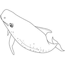 ぬりえページ: 鯨 (動物) #930 - 無料の印刷可能なぬりえページ