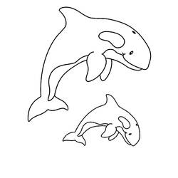 ぬりえページ: 鯨 (動物) #932 - 無料の印刷可能なぬりえページ