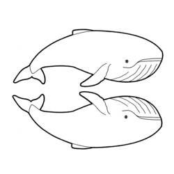 ぬりえページ: 鯨 (動物) #936 - 無料の印刷可能なぬりえページ