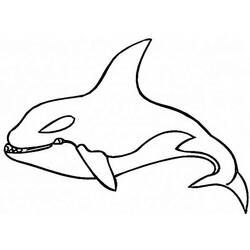ぬりえページ: 鯨 (動物) #941 - 無料の印刷可能なぬりえページ