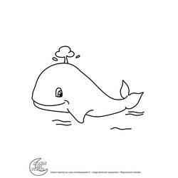 ぬりえページ: 鯨 (動物) #942 - 無料の印刷可能なぬりえページ